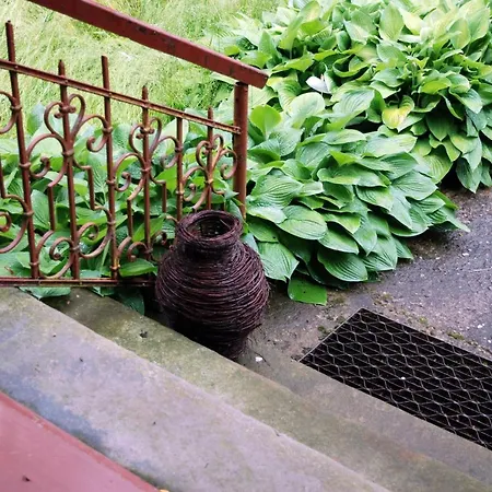 Homestay Willa Sloneczna *