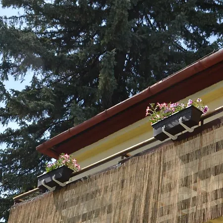 Homestay Willa Sloneczna